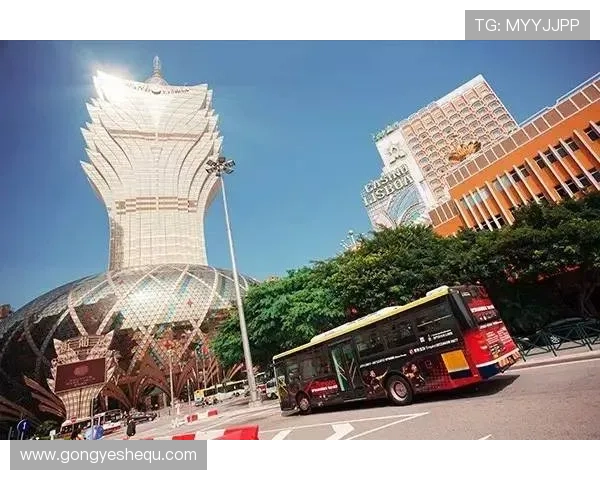 澳门赌场百家乐赔率与游戏规则关系详解，帮助玩家理清投注策略与风险控制