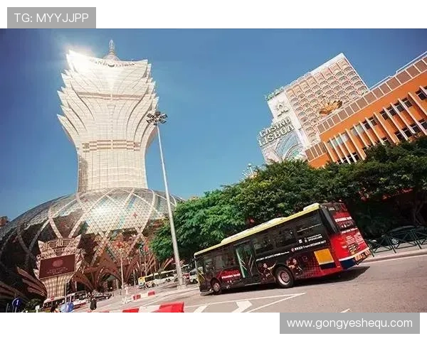 澳门百家乐玩法技巧与策略分享帮助玩家轻松应对各种游戏局面