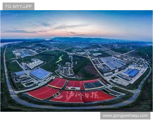 多赢真人国际：多赢合作机制下的真人娱乐行业创新发展路径分析