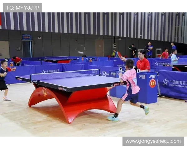 如何利用K8体育真人平台的直播功能提升你的体育赛事观看体验