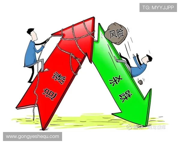bb视讯哪个赢了钱的风险控制策略，帮助玩家降低损失实现稳定盈利